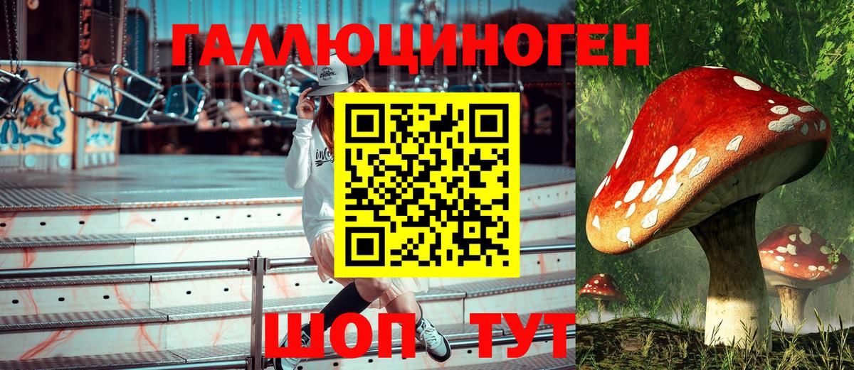 Галлюциногенные грибы Cubensis  Вход с VPN  Псилоцибиновые грибы MAGIC MUSHROOMS  Мурманск 