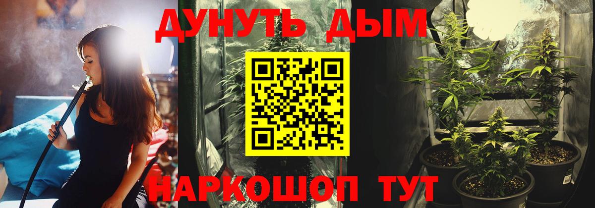 Канабис планчик Мурманск
